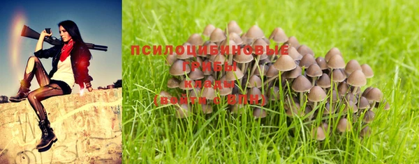 прущая мука Баксан