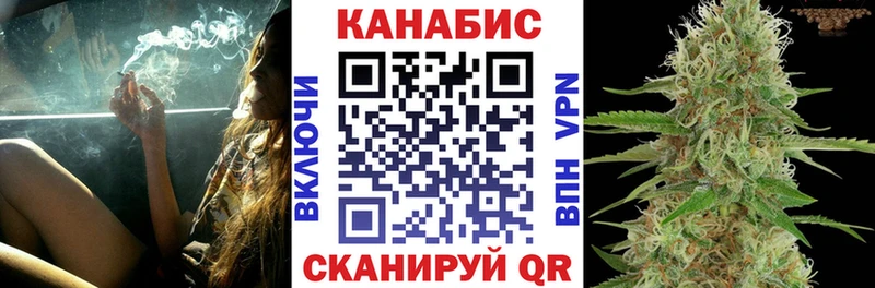 Конопля OG Kush  Сретенск 